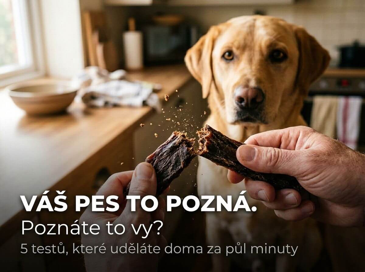 Ruka lámající psí pamlsek napůl, aby byl vidět lom